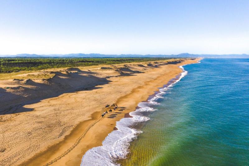 © Landes Atlantic Sud