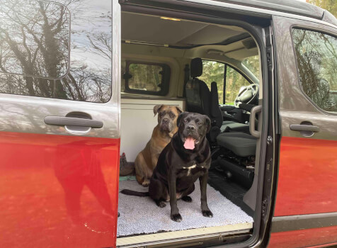 camping-car  BURSTNER COPA C 500  extérieur / arrière