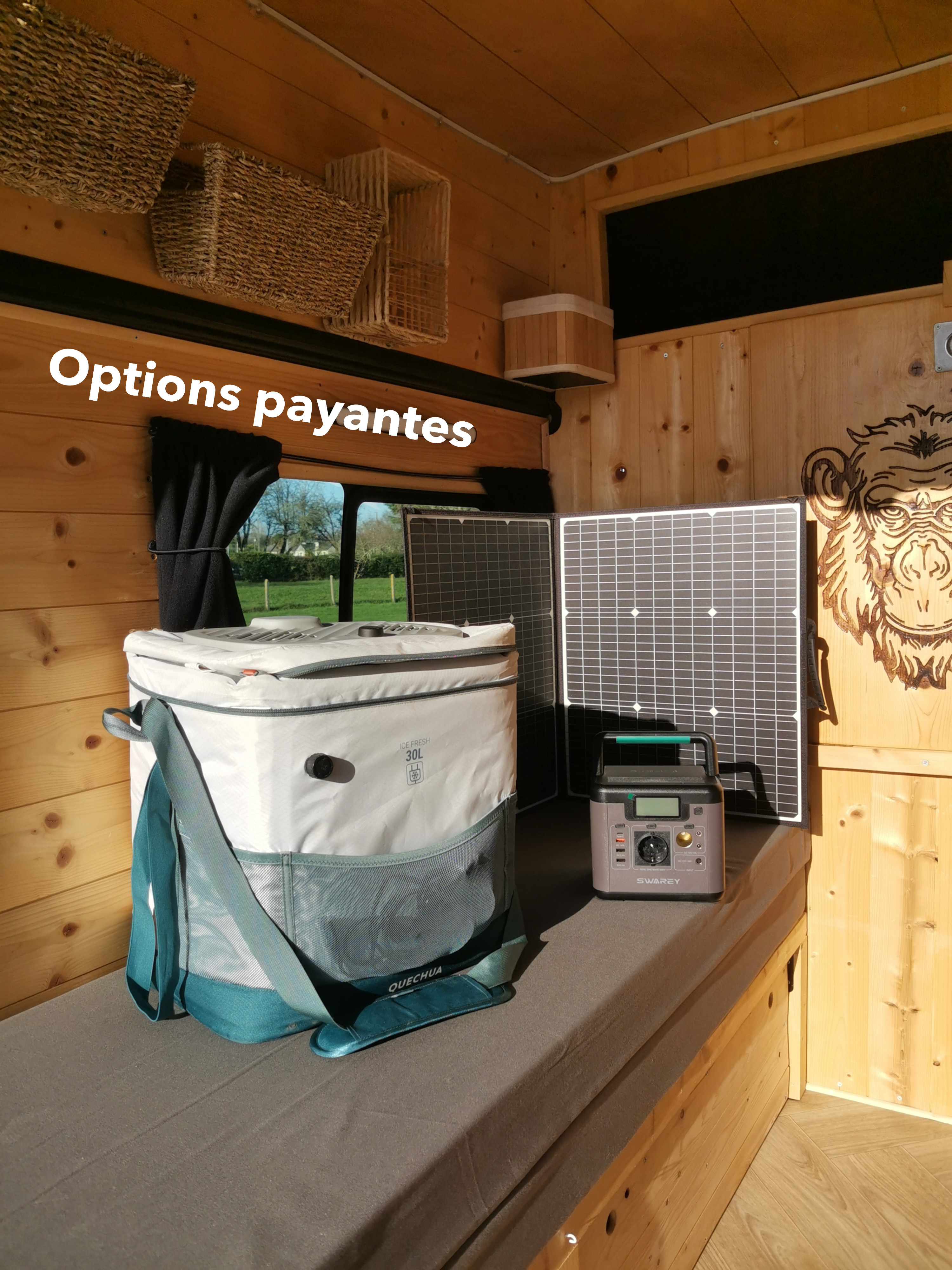 camping-car RENAULT TRAFIC L1H2  extérieur / latéral gauche